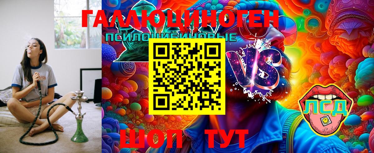 купить   Псилоцибиновые грибы Psilocybe  Вход с VPN  Реж 