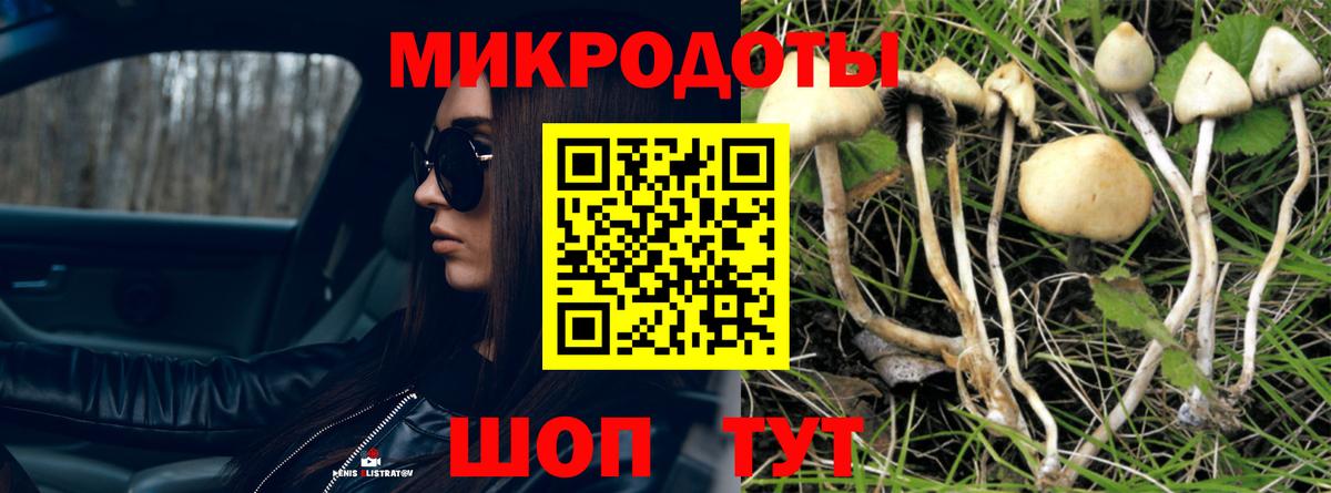 Псилоцибиновые грибы Cubensis Реж